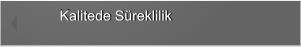 Kalitede Süreklilik